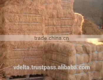 Coconut Fiber photo-2