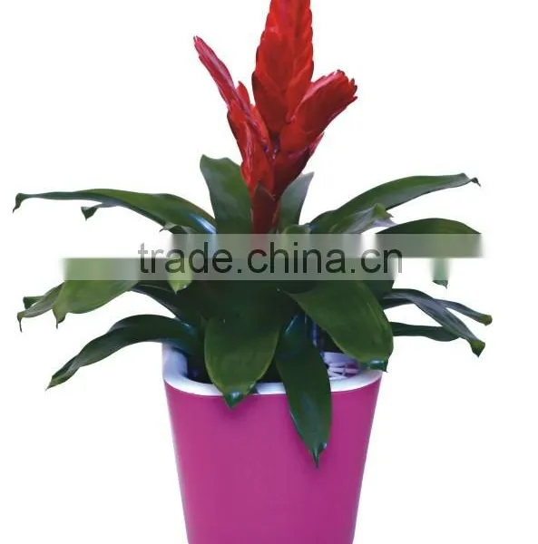Perfect Plastic Flower Pot