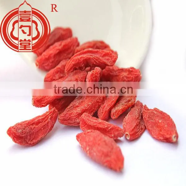 Berry Goji Bulk Goji Berries Wholesale Goji Berry