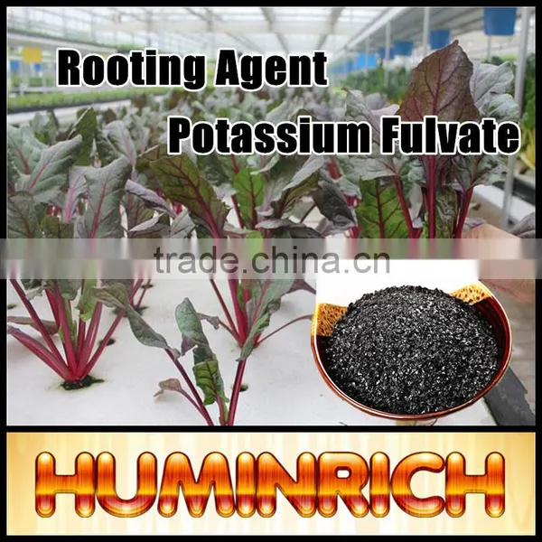 Huminrich Stimulate Root Hair Development Agricultural Fertilizers Potassium Humate Fulvate Ball photo-2