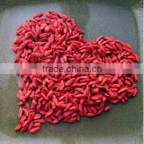 High Quality & Organic Goji Berry photo-3