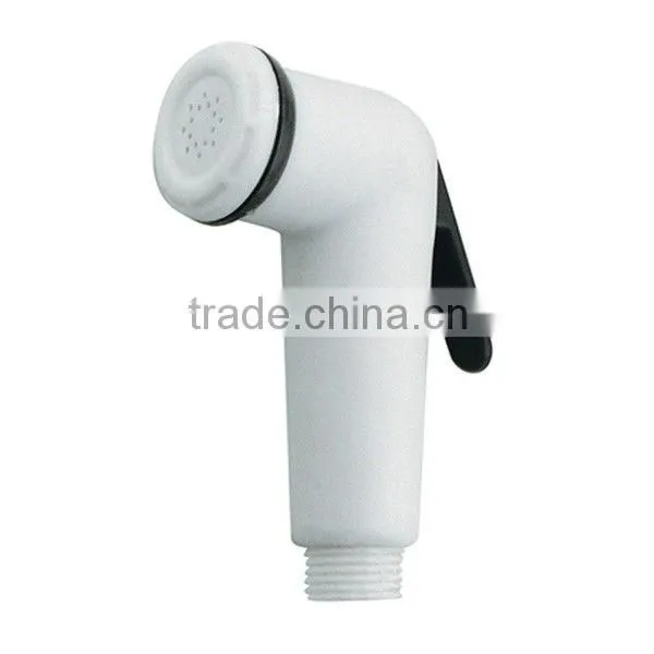 Spray Toilet