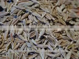 Cumin 99% Pure photo-3
