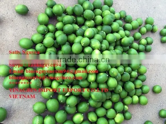 VIETNAM FRESH SEEDLESS LIME