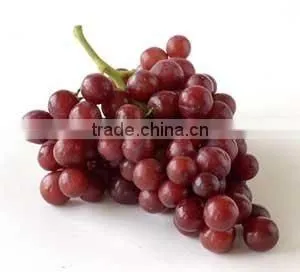 GRAPES FLAVOR