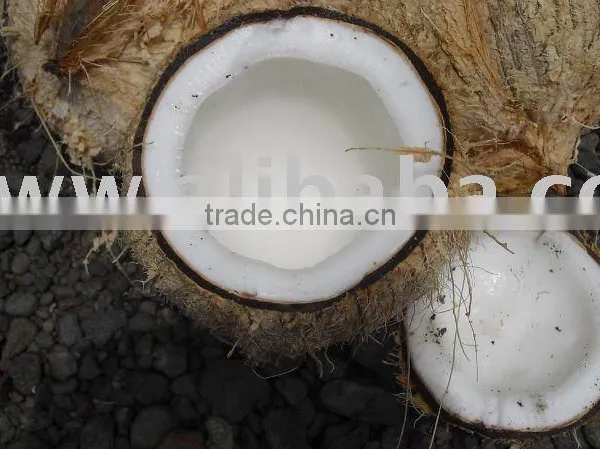 Fresh Coconut