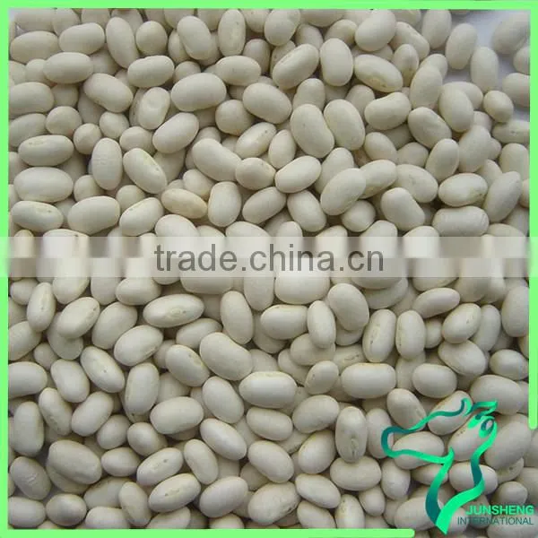 All Size Supply Japanese White Kidney Beans For Sale Wholesale Price photo-6