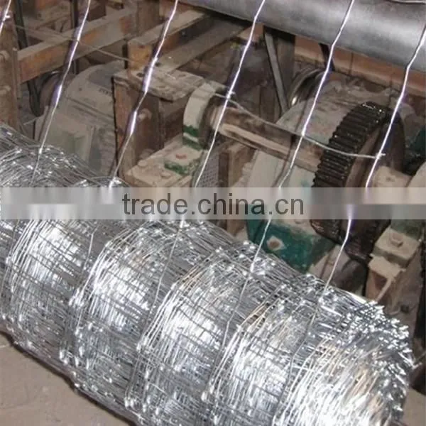 Sheep Wire photo-2