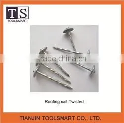 Corrugated Roofing Nail photo-4