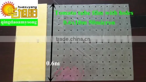 Green Color PE Agricultural Plastic Perforated Film With UV for Protective Tomato Tree photo-3