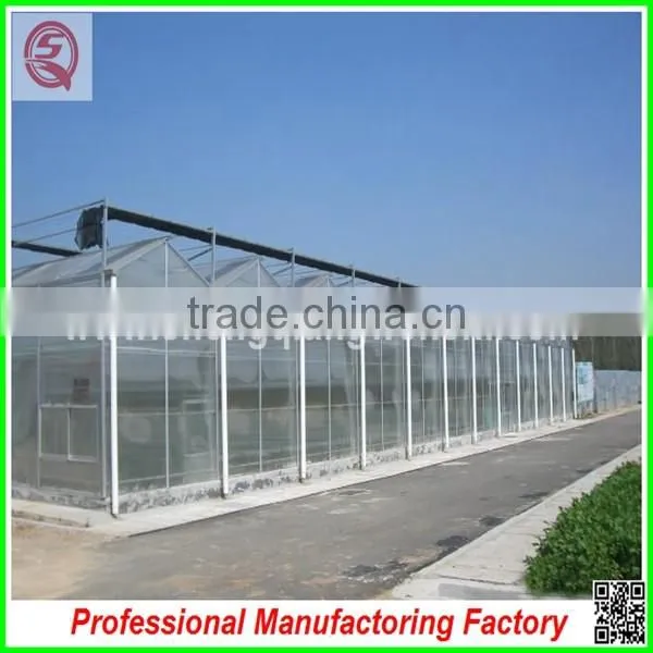 Commercial Used Steel Truss Frame Polycarbonate Greenhouses for Hot Sale