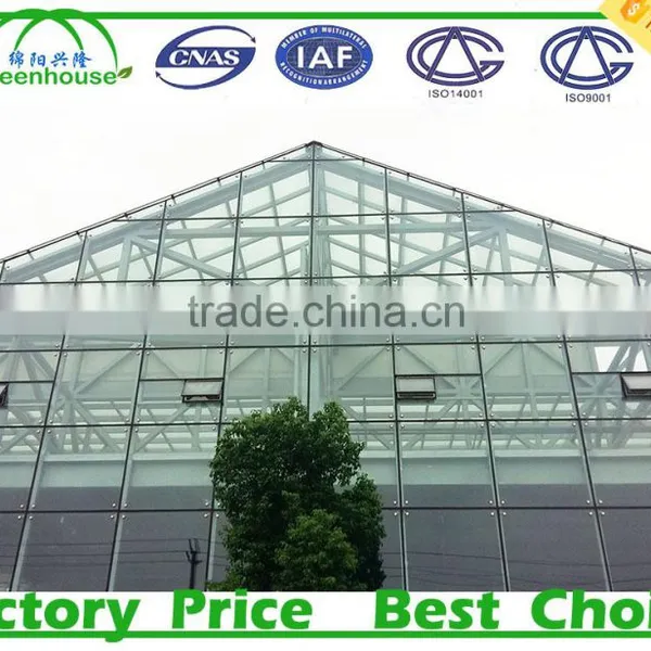 High Light Transmission Multi-span Glass Greenhouse photo-3