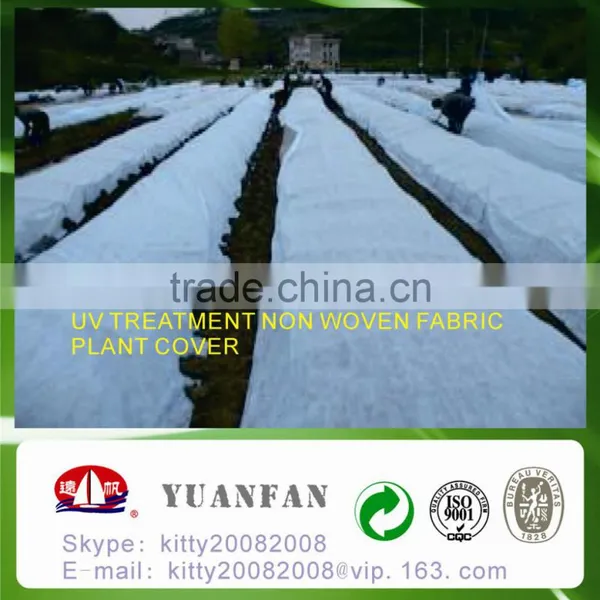 UV Treated PP Spunbond Non Woven Fabric for Plant Cover / Ground Cover / Tree Cover / Tomato Cover photo-5