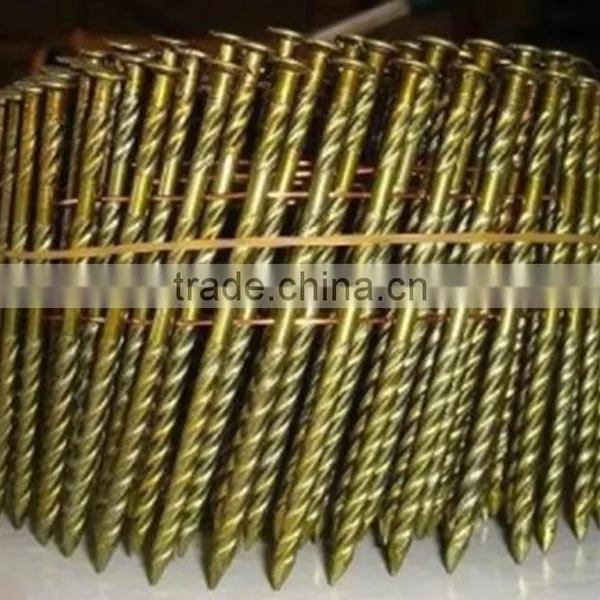Polished Coil Roofing Nails From Guangzhou Supplier photo-3