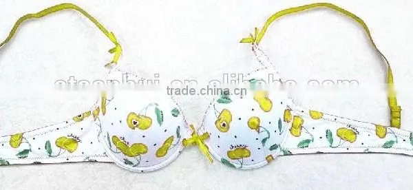 Cherry Bra/ Fashion Spandex Bra Sexy Bra Underwear Made in China photo-4