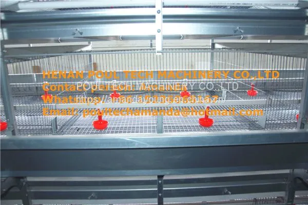 Colombia Chicken Shed With Poultry Cage for Chicken Feed for Brooding Chicks in Poultry Farming With Chicks Cage photo-2