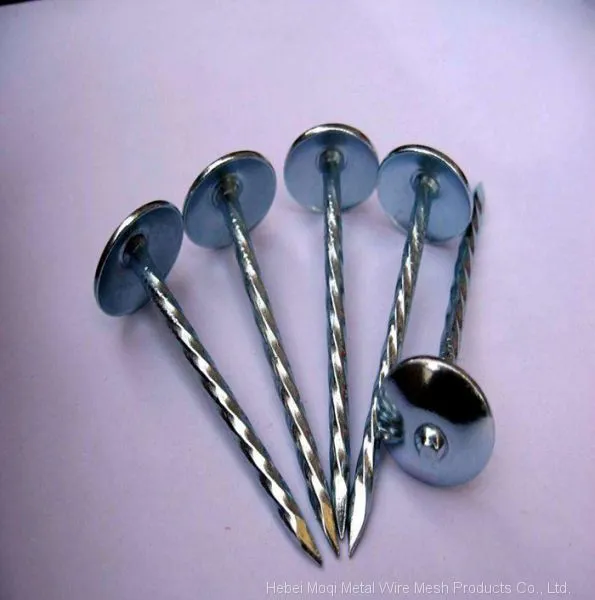 Hot Sale Galvanized Roofing Nails Screw+ Washer 90mmx4mm photo-4