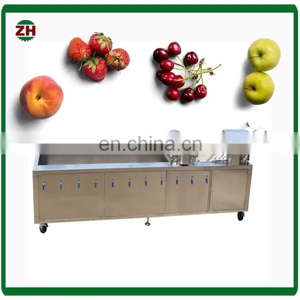 Fruit and Vegetable Processing Machines/food Production Line Equipment/fruit And Vegetable Washing Machine photo-6