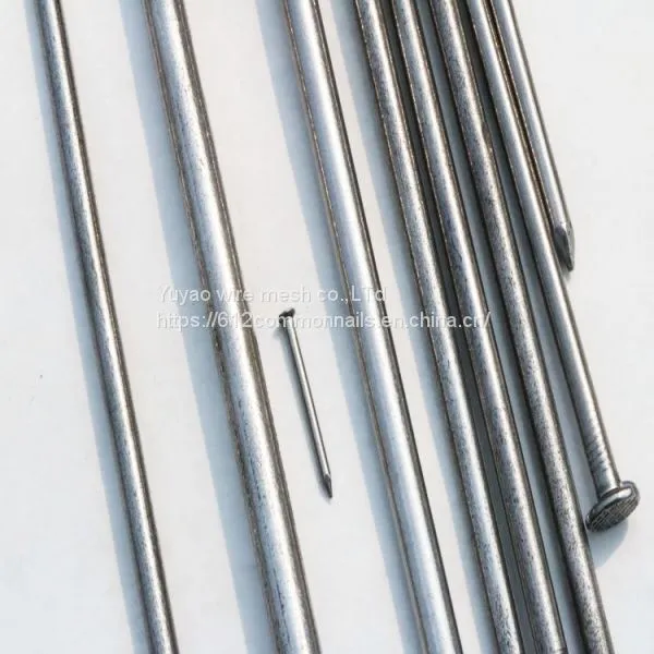 Common Wire Nail for Sale photo-2