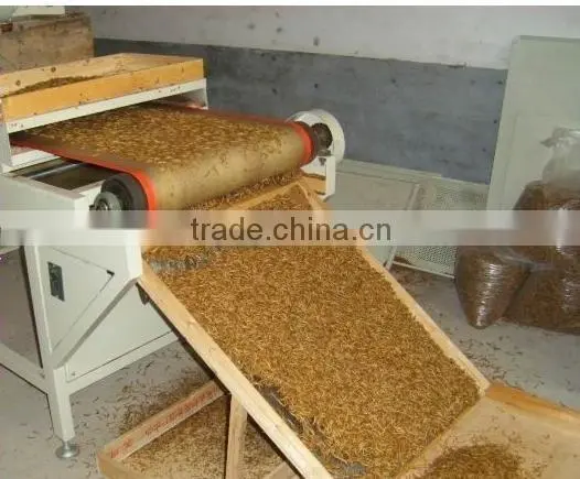 Automatic High Quantity Microwave Vegetable Drying Equipment photo-3