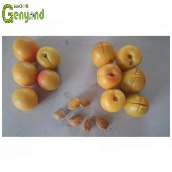 Shanghai Cherry Pitting Machine Plums Pitting Machine Fruit Seed Removing Machine photo-2