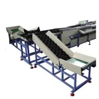 Easy Operation Fruit and Vegetable Waxing and Sorting Machine Citrus Orange Grading and Waxing Equipment photo-6