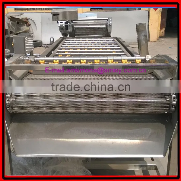 Bubble Type Kelp Washing Machine|Mushroom and Bean Sprout Cleaning Machine photo-3