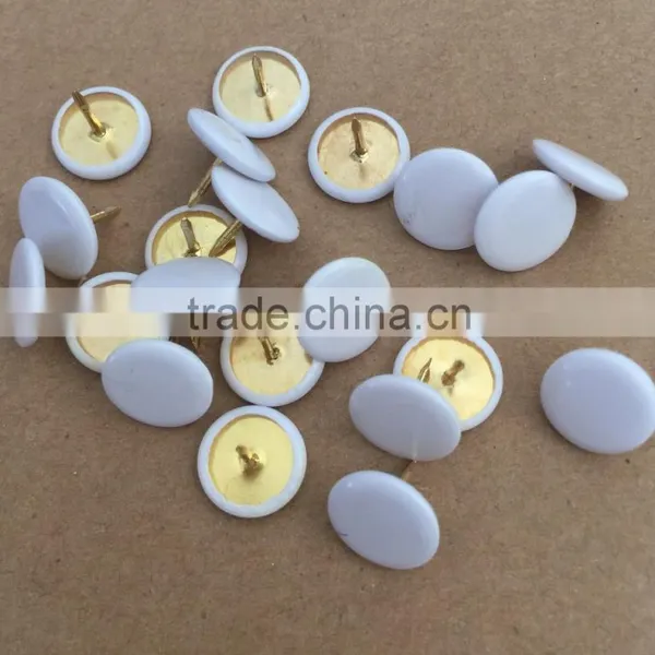 Color Vinyl Coated Drawing Pins Round Head Painting Pins Thumb Tack Quality Choice photo-2