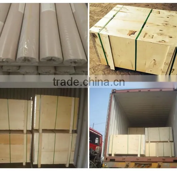 304, 316L, Stainless Steel Wire Mesh, Cloth photo-4