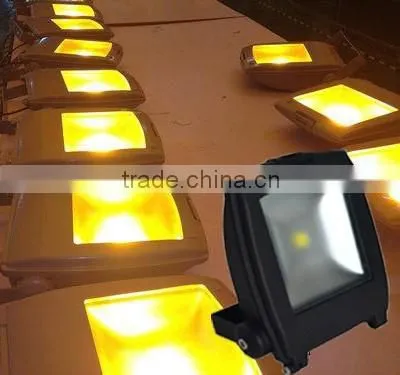 10w Warm Yellow Led Flood Light for Building Decoration Lighting photo-4