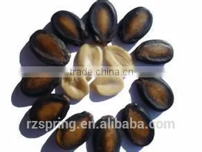 CHINESE BLACK WATERMELON SEED KERNELS
