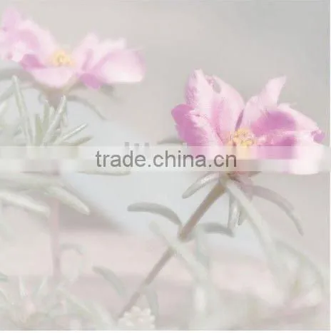 CHINA TO MOMBASA (FCL AND LCL Ocean Freight Service)