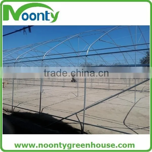 Multi Tunnel Greenhouse photo-2