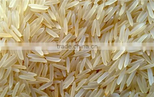 1121 Steam Basmati Premium Rice photo-3