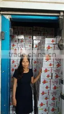 HIGH QUALITY FRESH SWEET POTATO/FROZEN SWEETPOTATO photo-3