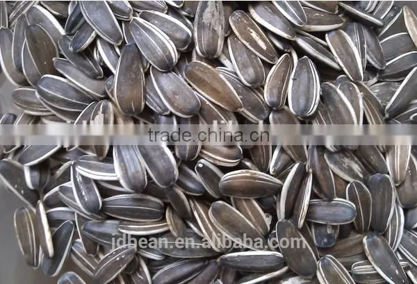 The Lowest Price Of Sunflower Seeds 5009 With High Quality photo-6
