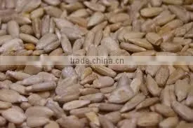 Confectionary Grade Organic Sunflower Seeds Kernels photo-2