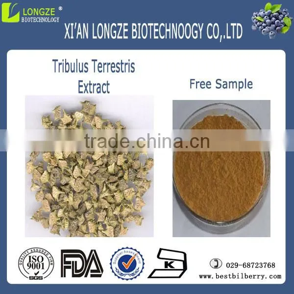 Tribulus 90% Saponins 40% Protodioscin