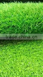 Cheaper Artificial Turf ,simulation Turf
