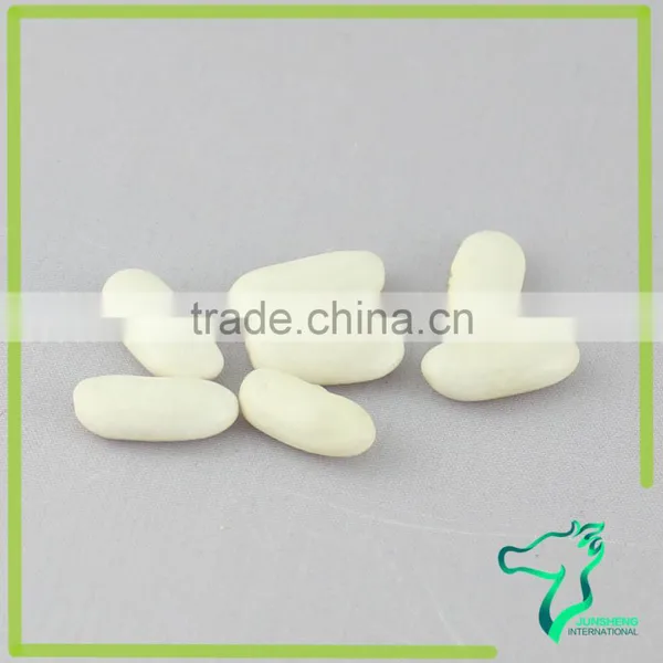 Long White Kidney Beans 2016 Crop Now On Sale photo-5