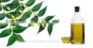 Natural Neem Oil for Organic Pesticide photo-6