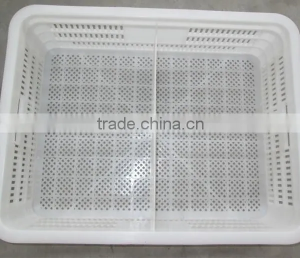Plastic Turnover Box for Chickens photo-4