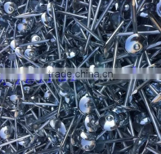 2017 ROOFING NAIL 10BWGX2.5'' AGENT for Nigeria Market photo-5