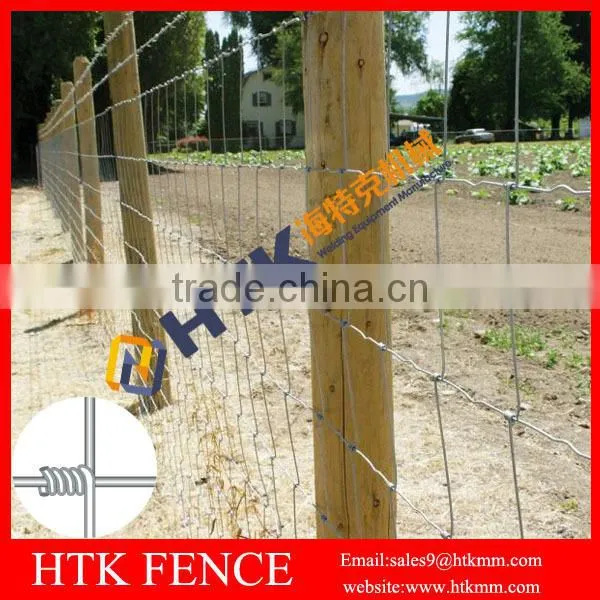 HTK Best Price Hot Dipped Galvanized Woven Wire Grassland Fence photo-2