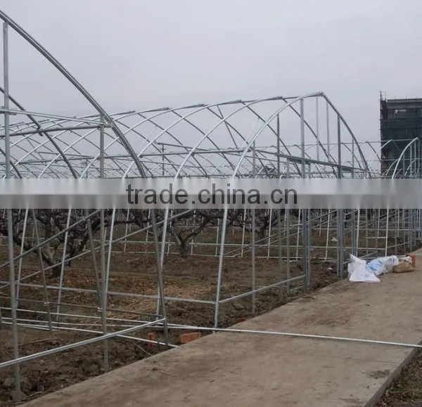 Plastic Film Greenhouse for Tomato photo-2