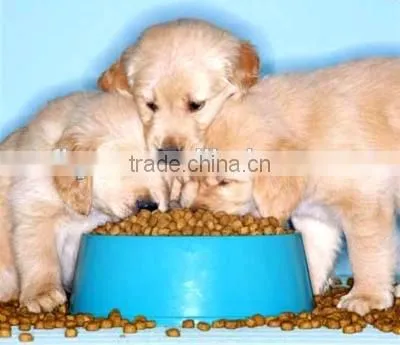 Dry Dog Food for All Breeds photo-3