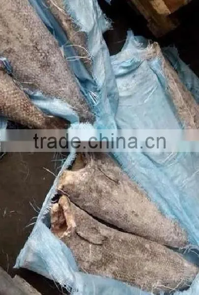 Oil Fish Whole Round Fish