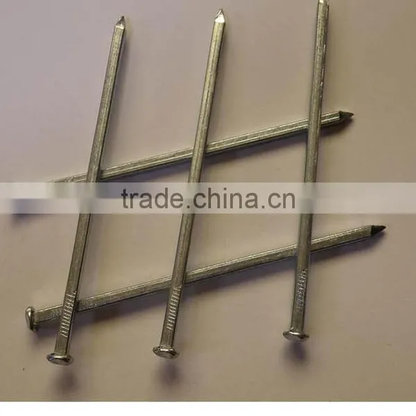 Cheap Price Hot Dipped Galvanized Boat Nails Square Shank Boat Nails photo-5
