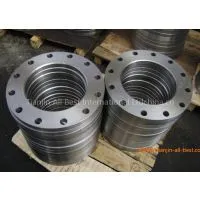 Stainless Steel Lap Joint Flanges Iron Pipe Fittings