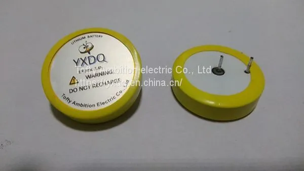 ER2450 3.6V 500mAh photo-3